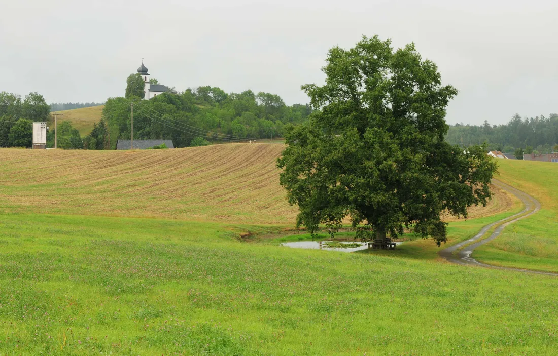 Vogtland-Landschaft bei Heinersgrün mit der St.-Clara-Kapelle