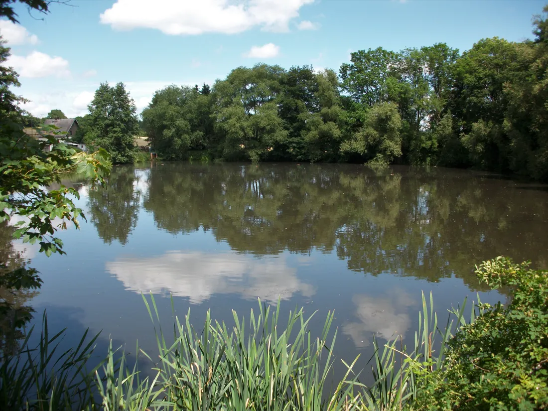 Schlossteich in Heinersgrün